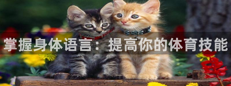 风速体育下载：掌握身体语言：提高你的体育技能