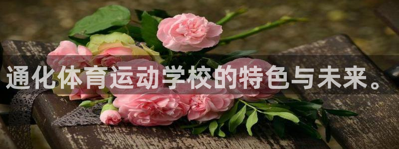 风速体育app下载官网最新版：通化体育运动学校的特色与未来。