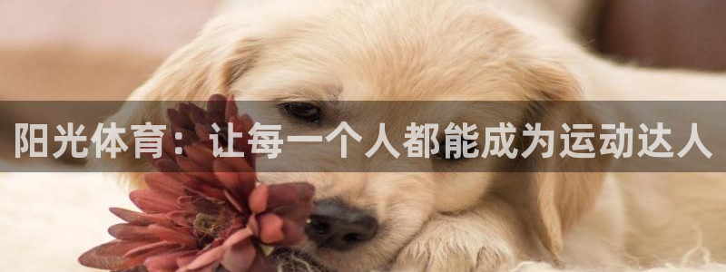 风速体育nba直播：阳光体育：让每一个人都能成为运动达人