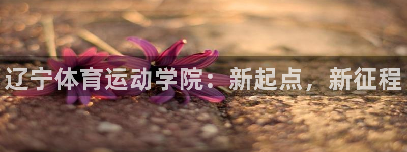 风速体育直播：辽宁体育运动学院：新起点，新征程