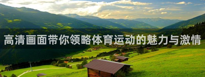 风速体育直播：高清画面带你领略体育运动的魅力与激情