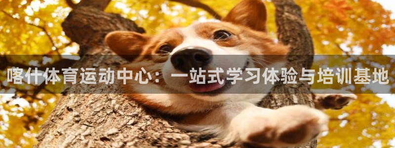 下载风速体育：喀什体育运动中心：一站式学习体验与培训基地