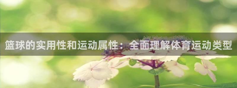 风速体育cba直播：篮球的实用性和运动属性：全面理解体育运动类型