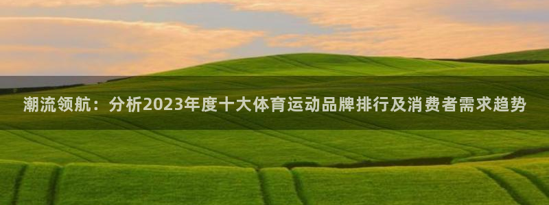 风速体育app：潮流领航：分析2023年度十大体育运动品牌排行及消费者需求趋势