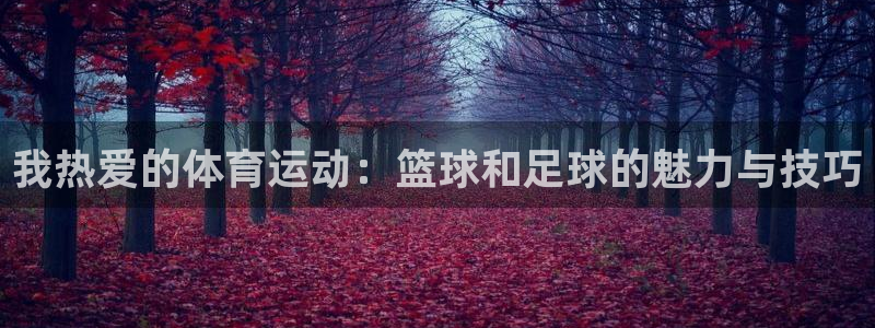 风速体育：我热爱的体育运动：篮球和足球的魅力与技巧