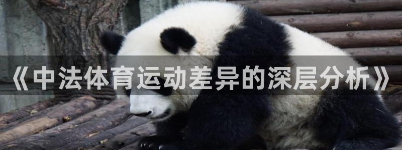 风速体育下载：《中法体育运动差异的深层分析》