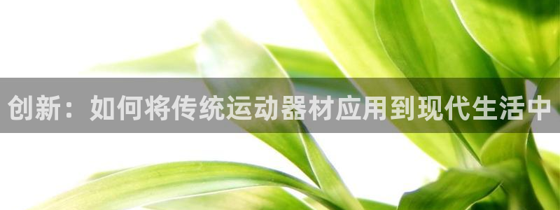 风速体育nba免费直播：创新：如何将传统运动器材应用到现代生活中